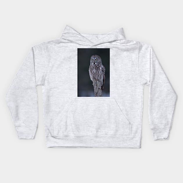 Great Grey Owl Kids Hoodie by Jim Cumming